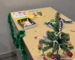 Christmas Celebration 2025-26